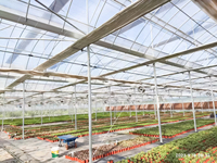 Moderne geautomatiseerde irrigatie multi-span foliekas geschikt voor de teelt van bloemen, fruit en groenten