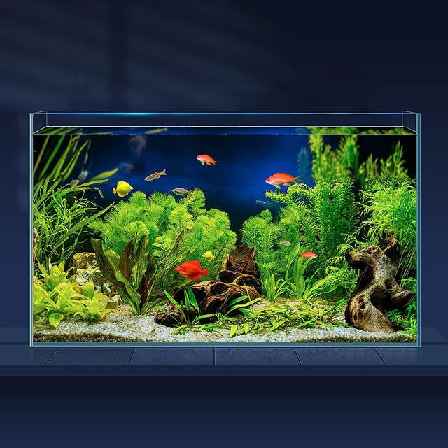 Custom Modern Acrylic Aquarium Tank Factory New Design for Home Garden Decoration Plastic Reef Aquatic Fish Tank