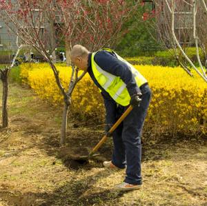 Los jardines domésticos usan fertilizantes orgánicos ecológicos y verdes sin aditivos naturales puros - Product Image 5
