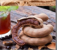 Máquina de Pulpa de Tamarindo de Acero Inoxidable con Motor, Prensa en Frío de Alta Productividad, Precio de Fábrica, Capacidad de 100-200 kg/h, en Venta - Product Image 5