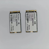 Grosir Pabrik Vaseky M.2 NGFF 2242 SATA3 64GB 128GB 256GB 512GB 1TB Solid State drive