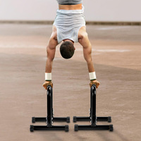 Barres de gymnastique portables en acier, réglables, pour pompes et dips, noires, légères et durables pour la musculation à domicile