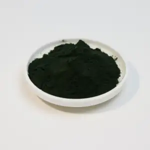 Protoga Complément alimentaire sain Comprimés de spiruline à haute teneur en vrac