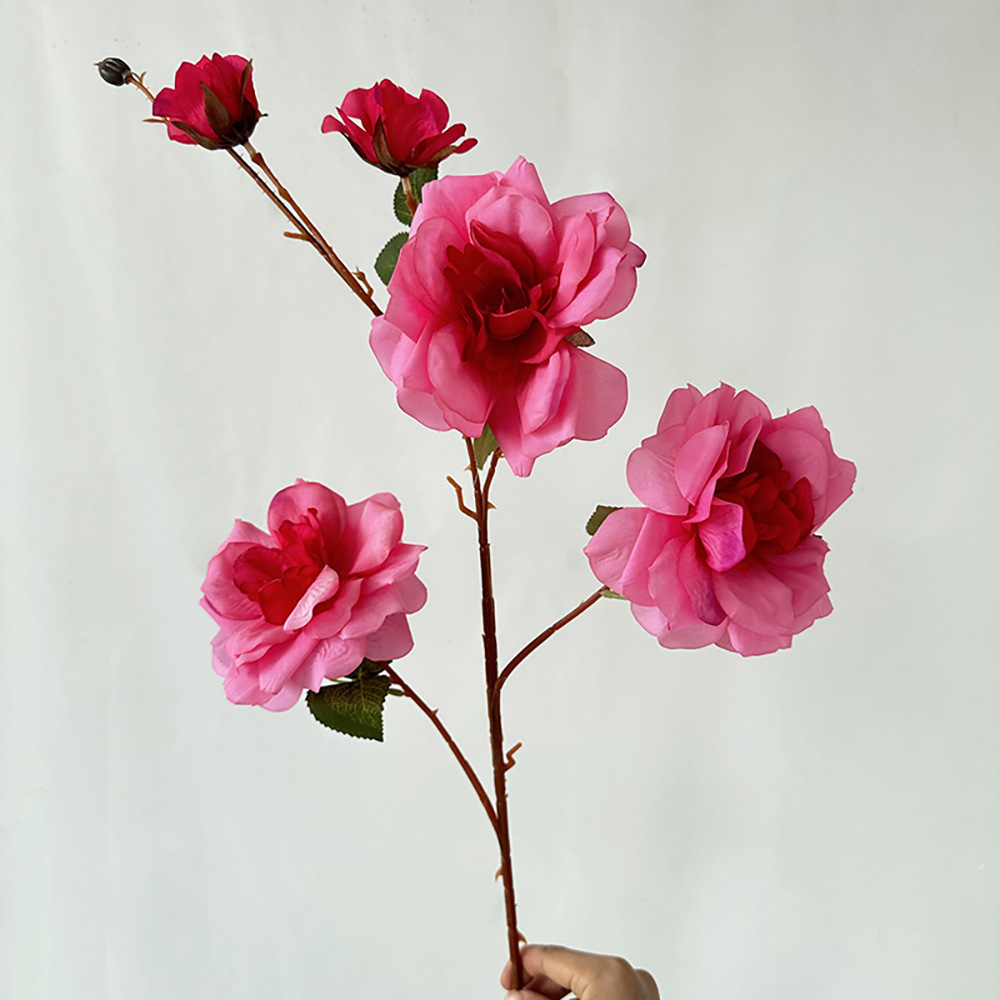 5 longues roses des neiges, rose rouge