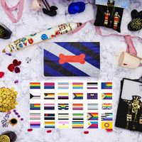 Plus de 20 types de drapeaux arc-en-ciel LGBT en polyester avec fonction de séchage rapide pour la moisson de la fierté gay, collection complète