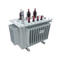 Transformateur de distribution triphasé à bain d'huile 50 kVA 500 kVA 630 kVA, entrée 11 kV/22 kV, sortie 0,4 kV 480 V, avec certificat CE ISO