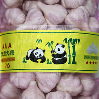 Hete Aanbieding Normale Witte Knoflook Hoge Kwaliteit Mesh Zak voor Groothandel Peru Markt