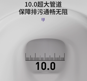 โถสุขภัณฑ์เซรามิกไร้ขอบสีขาวด้าน สำหรับบ้านพักตากอากาศหรูหรา - Product Image 6