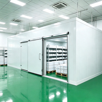 Instalación de Congelador Automático para Exteriores Copeland Emerson con Precio Competitivo para Almacenamiento de Vegetales Congelados
