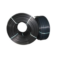 Tuyau d'irrigation principal en PE noir enroulé XINGCHAUN pour l'agriculture, 20-63 mm, 100-200 m, certifié ISO, pour serres et vergers
