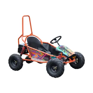 Nicot Factory Custom New Design Popular 48v 1500w Electric Shaft Drive Dune 3-speed Buggy Go Kart