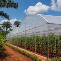 Film de serre commercial de 200 microns pour la production de légumes en Afrique du Sud, résistant aux UV, bâche agricole en PE pour tunnels