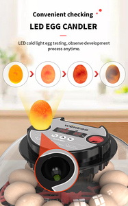 Incubadora Automática Multifuncional de Alta Productividad para Pollos, Pavos y Patos, con Capacidad para 12 Huevos - Product Image 4