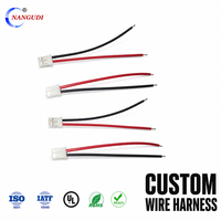 Connecteur électronique Mini Micro JST 2.0 PH 2 broches, conducteurs en cuivre pur, isolation en PVC, longueur 200 mm, tension nominale 12 V, fils