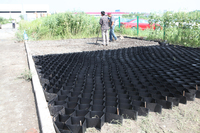 Geocelda de Plástico HDPE Texturizada y Perforada Tipo Panal de Abeja, Precio de Fabricante, Rejilla para Grava, Geocelda para Construcción de Carreteras