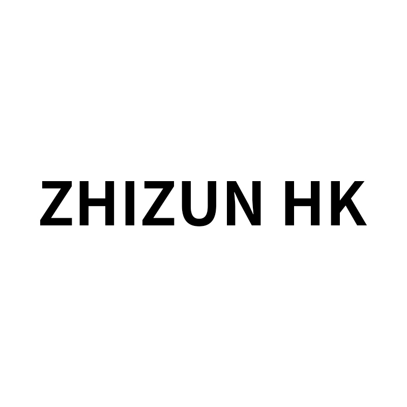 HONGKONG ZHIZUN HOLDING TECHNOLOGY GROUP LIMITED logo