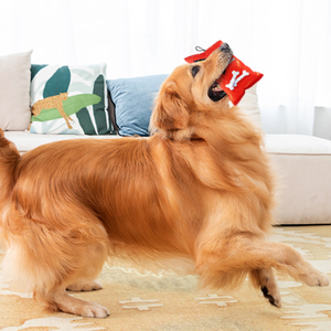 Aliments amusants pour animaux de compagnie jouets pour chiens grinçants chiens paresseux chiens mâcher en peluche petites et grandes races jouet interactif pour chiens - Product Image 4
