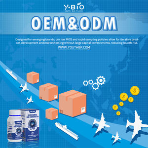 Glukozamin Kondroitin MSM Tabletleri |   Eklem Yağlaması Şok Emilimi 120 Tablet/Şişe GMP Sertifikalı |   Profesyonel OEM - Product Image 4