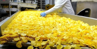 Grote schaal groenten snijmachines voor radijs, plantan, aardappelchips, kurkuma, ui, cassave, julienne, wortel, aubergine.