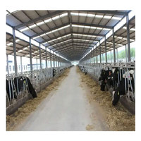 Vente directe d'usine maison de volaille préfabriquée Structure en acier mouton grange élevage hangar