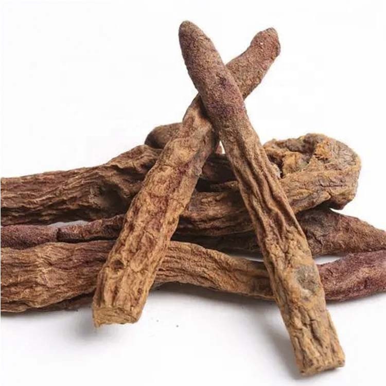 Chinese Organic Herbal Suo Yang Bulk Chinese Herbal Medicine Inner Mongolia Cynomorium Songaricum Good for Men