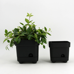 <span class=keywords><strong>Bassin</strong></span> carré de Vientiane de 2 tailles. Pot de fleurs <span class=keywords><strong>pour</strong></span> plantes succulentes, <span class=keywords><strong>bassin</strong></span> en plastique à stockage <span class=keywords><strong>d</strong></span>'<span class=keywords><strong>eau</strong></span> automatique, pots <span class=keywords><strong>pour</strong></span> plantes <span class=keywords><strong>pour</strong></span> fournitures de jardin - Product Image 3
