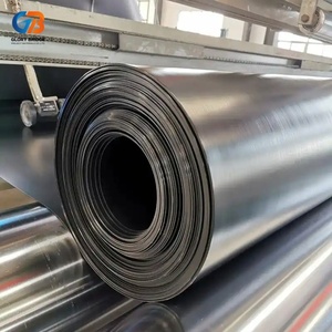 <span class=keywords><strong>Pour</strong></span> une utilisation dans les barrages, <span class=keywords><strong>membrane</strong></span> géotextile en polyéthylène haute densité, résistante à la corrosion et longue durée de vie - Product Image 6