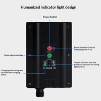Guirlande lumineuse LED solaire effet pluie de météores, télécommandée, à intensité variable, accessoires décoratifs abstraits, avec piquet de sol en plastique