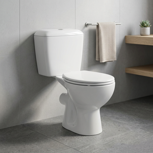 WC en céramique de luxe doré, de haute qualité, à siphon, deux pièces, pour salle de bain, fabriqué en Inde - Product Image 2