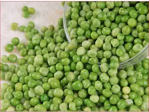 China Origin Iqf Frozen Vegetables Wholesale Clean Quick Iqf Green Beans