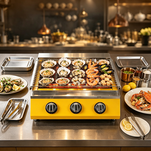 Parrilla de Gas Comercial de Grado Hotelero Surpass JPX‑D3T, de Acero Inoxidable Amarillo, con Suministro de Gas Personalizado para Bocadillos de Mariscos y Ostras - Product Image 5