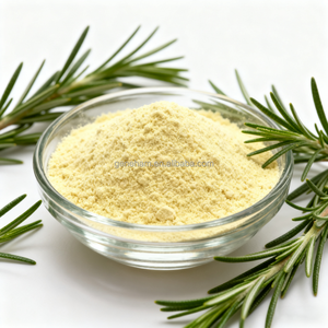 Halal HACCP 20% Extracto de Romero de grado alimenticio soluble en agua Polvo de ácido carnósico para alimentos para mascotas Cuidado bucal Planta Origen Botella/Tambor - Product Image 4