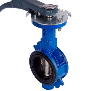 Amico Butterfly Valve Cast Iron Clamp Connection Water Use Two Way Adjustable - Product Image 3