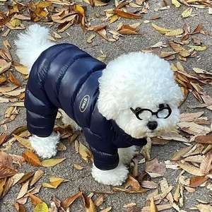 Rompi Hewan Peliharaan Mewah Musim Gugur Musim Dingin Warna Morandi Korea Sederhana Hangat Pakaian Bulu Wol Pola Cetak Hewan XL Teddy Kucing Kecil - Product Image 4