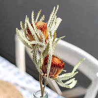 AX-35 Fleurs séchées décoratives en gros, mini arrangements de fleurs Banksia et Protea - Fête des Mères, Noël, Remise de diplôme
