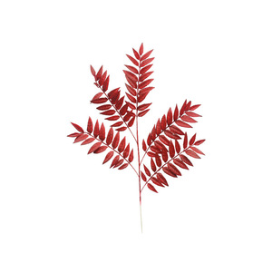 Arreglo de Hojas de <span class=keywords><strong>Nandina</strong></span> Serradas de Seda para Boda - Diseño Elegante/Romántico, Decoración Interior/Exterior para Hoteles, Banquetes y Eventos - Product Image 6