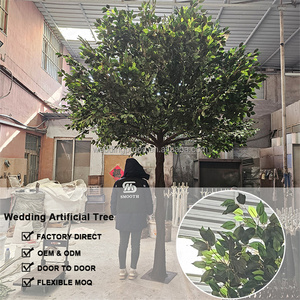Usine personnalisé réaliste grand <span class=keywords><strong>olivier</strong></span> <span class=keywords><strong>d</strong></span>écoratif artificiel grand <span class=keywords><strong>olivier</strong></span> arbre en fibre de verre - Product Image 4