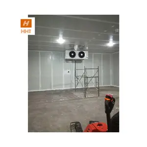 Giá Tôm Hùm Tại Việt Nam Cá Hồi Băm Nhỏ Dự Án Kho Lạnh Nhỏ Chi Phí Benson Kho Lạnh Ca Phòng Lạnh - Product Image 1