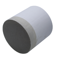 Filtro Antiparticolato Diesel (DPF) in Ceramica Cordierite Catalizzata a Nido d'Ape, Universale, 305x305mm, Standard Emissioni Euro V