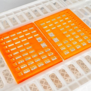 Plastic <strong>Chicken</strong> Used Poultry Cage Pigeon Plastic Poultry Transport <strong>Crate</strong> - Product Image 2
