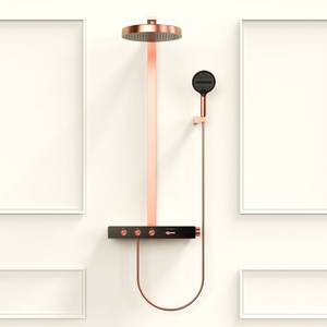 Single-Piece Direct-Ship Brushed <strong>Gold</strong> <strong>Shower</strong> <strong>Head</strong> Set with Shelf Flat <strong>Shower</strong> <strong>Head</strong> in Rose <strong>Gold</strong> Pressure-Boosting <strong>Shower</strong> Sprayer - Product Image 2