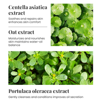 KORMESIC - Limpiador Facial al por Mayor de 100 g con 5% de Peróxido de Benzoilo para Eliminar el Acné, Limpieza Profunda, Espuma Abundante, Marca Privada OEM
