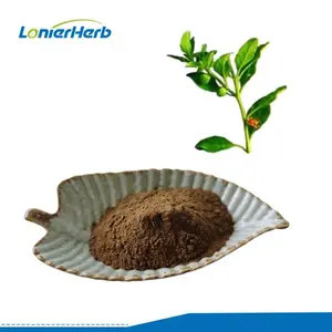 Sıcak Fırsat %5 Aşvaganda Kökü Aşvaganda Ekstresi %5 Withanolides Aşvaganda Tozu - Product Image 4