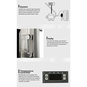 YF-STG9 nove forniture funebri Premium per congelatore mortuario - Product Image 4