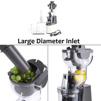 Zigifts Hot Selling 2025 Nieuwe Collectie Blender 300W 70Mm Hele Fruit Grote Mond Slow Juicer Hoogwaardig Fruit Buiten Oplaadbaar