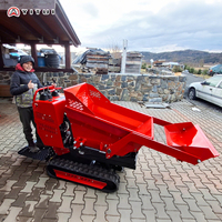 Mini-dumper sur chenilles diesel, vente chaude usine Chine, dumper sur chenilles à forte traction, personnalisable, dumper 1 tonne