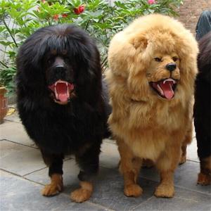 Vilt Gepersonaliseerde Kerst Xmas Ornamenten <span class=keywords><strong>Outdoor</strong></span> Decors Hond - Product Image 1