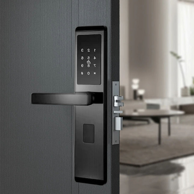 Customized Color Waterproof Smart Electronic Lock Door Classic Design Digital Locks with WiFi Connectivity for Outdoor Use