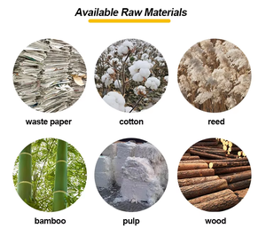 Ecran de pression sans fil <span class=keywords><strong>pour</strong></span> machine de recyclage de <span class=keywords><strong>papier</strong></span> avec <span class=keywords><strong>tamis</strong></span> à haut rendement avant pressage - Product Image 4