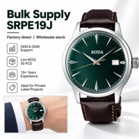 Herren Automatik-Mechanikuhr OEM Individuelles Logo Edelstahl Blaues Zifferblatt Automatikuhrwerk Datumsfenster Casual
